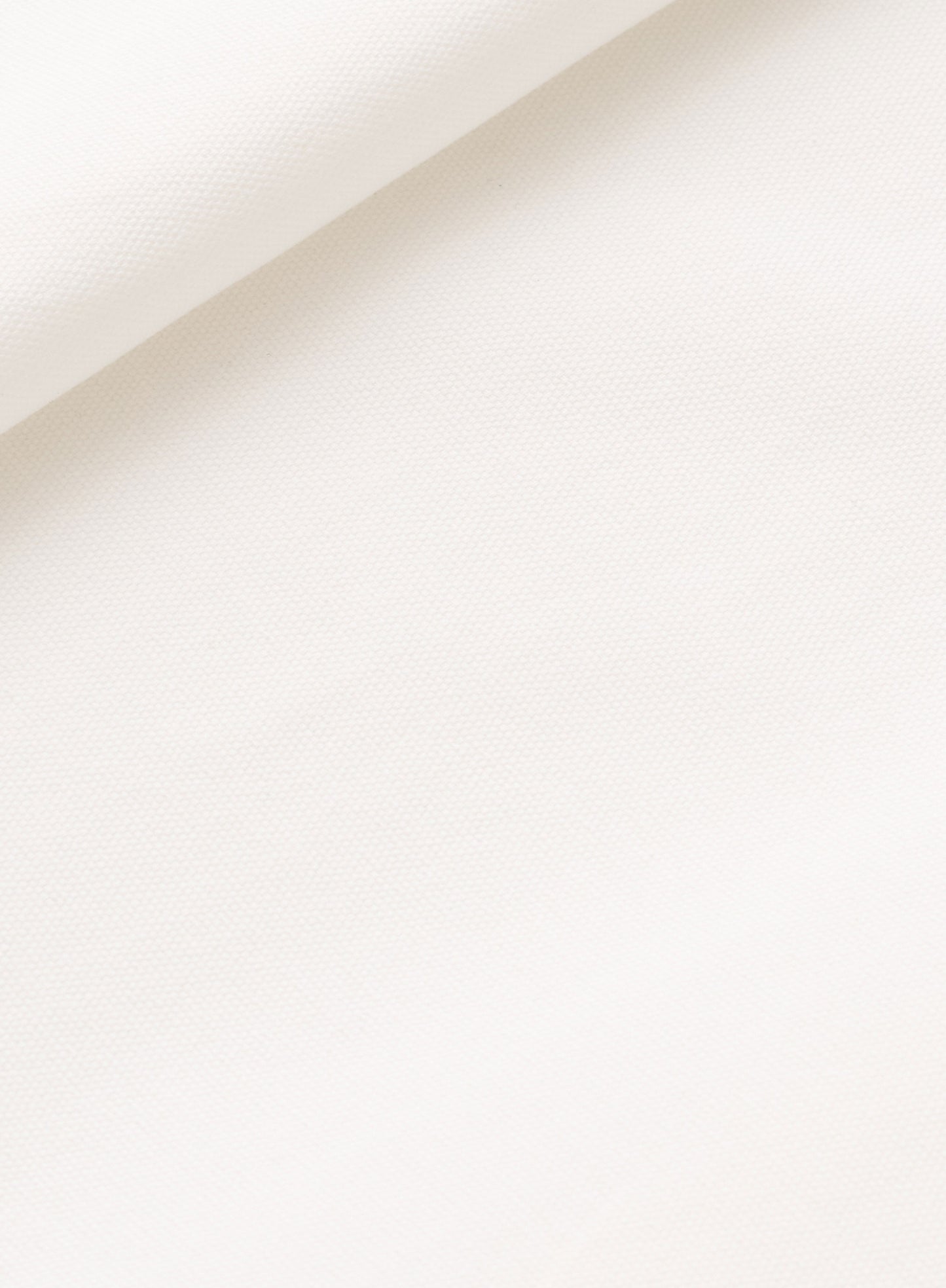 Perfect White Relaxed Cotton Canvas