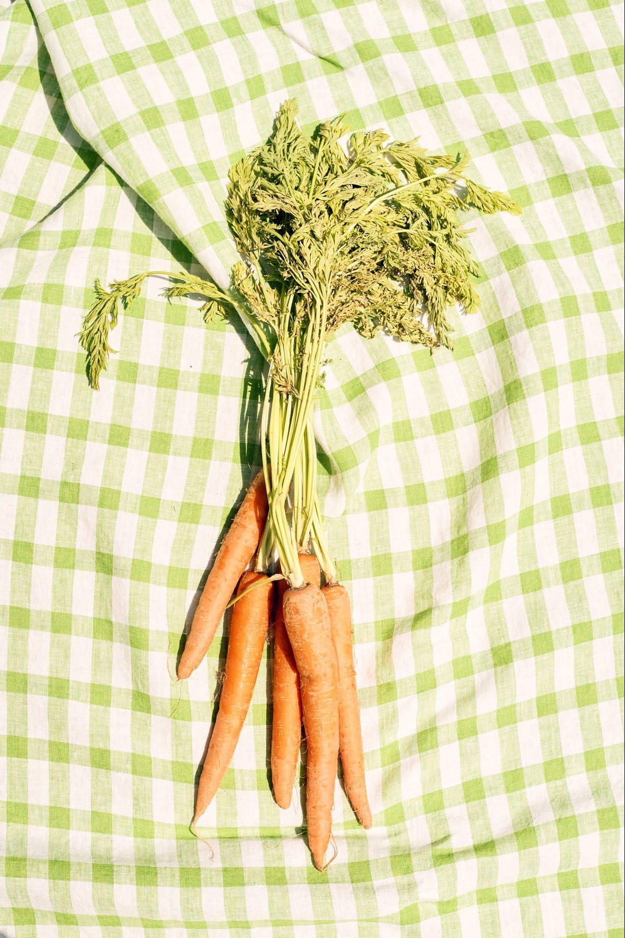 Bunch of carrots on a green and white checkered tablecloth