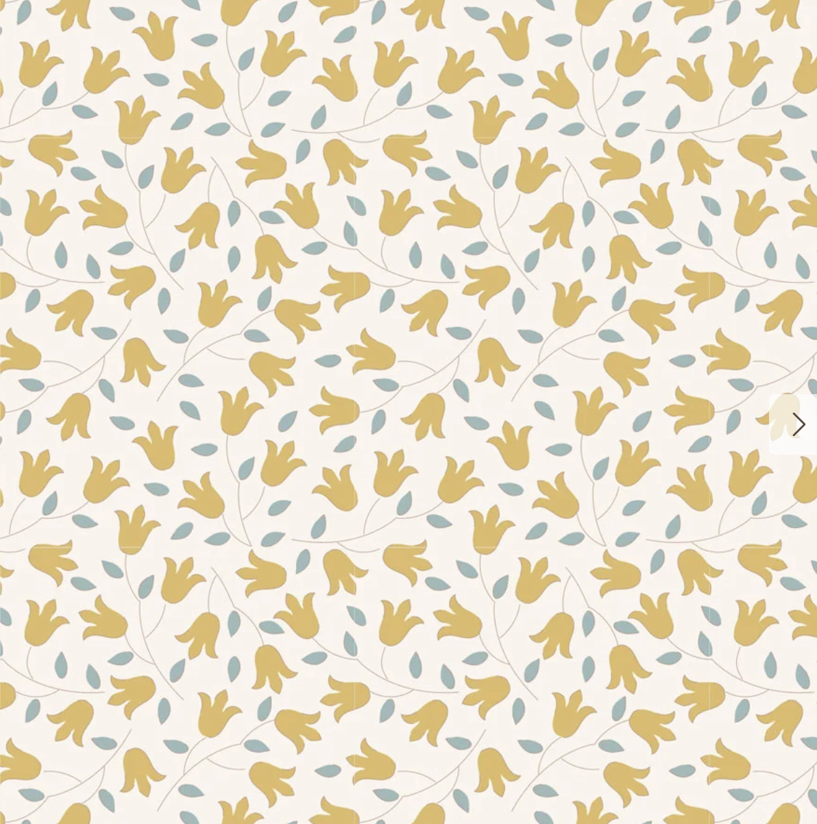 Sophie Basic Dijon