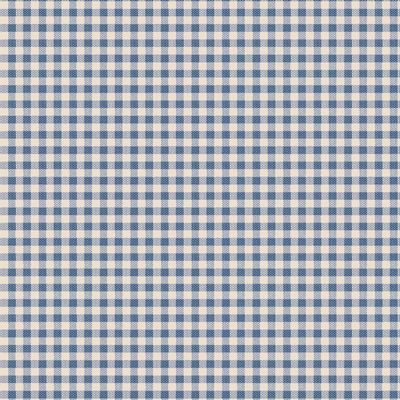Creating Memories Woven Gingham Blue