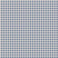 Creating Memories Woven Gingham Blue
