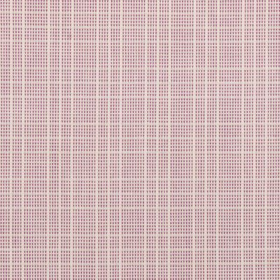 Cinnamon Roll Plaid Plum Woven Tea Towel