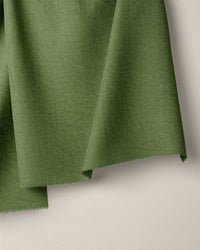 Asparagus Cloud Linen