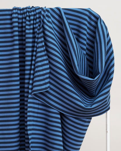 Blue and Blue Wide Stripe Rib Knit