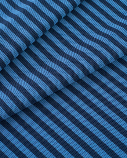 Blue and Blue Wide Stripe Rib Knit