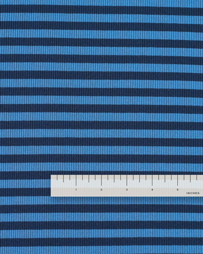 Blue and Blue Wide Stripe Rib Knit