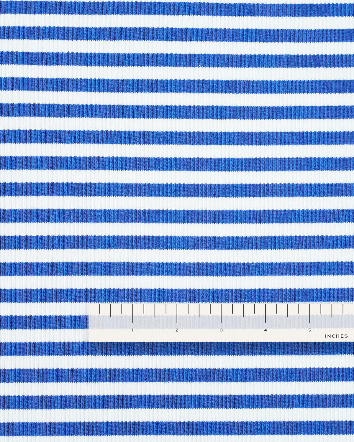 Bright Blue Wide Stripe Rib Knit