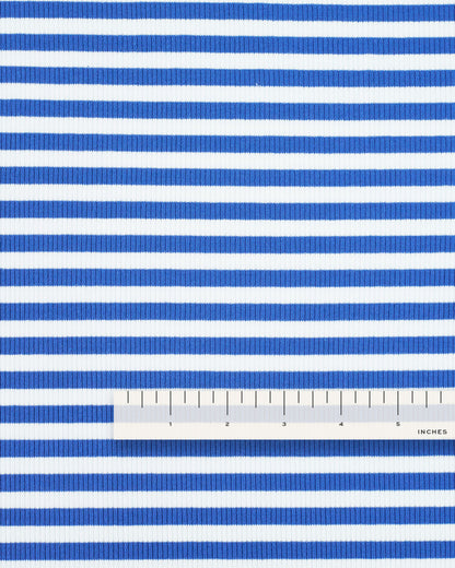 Bright Blue Wide Stripe Rib Knit