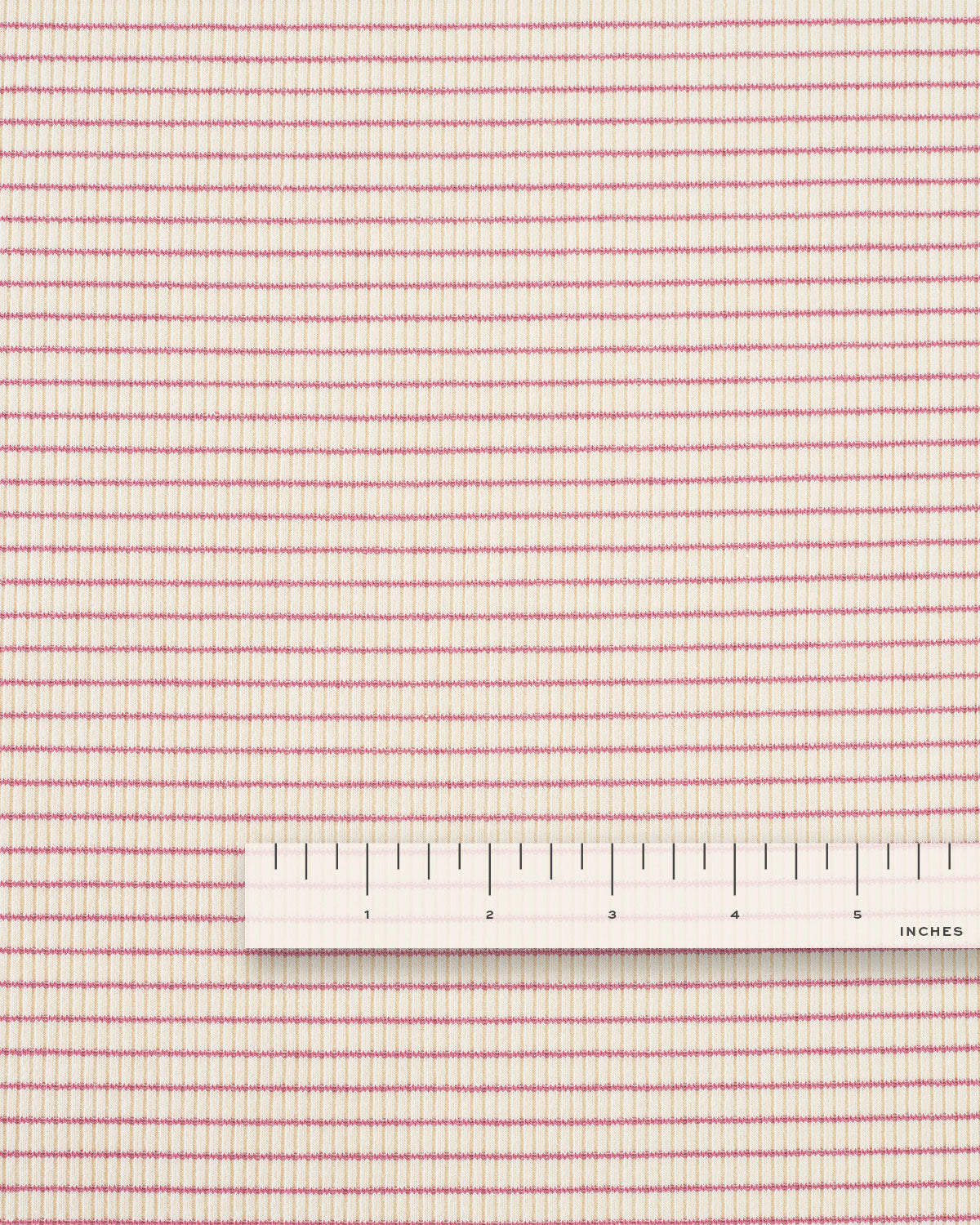 Cream and Rose Baby Stripe Rib Knit