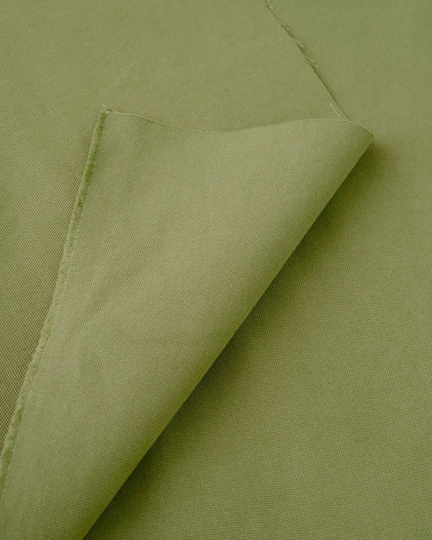 Cricket Relaxed Cotton Canvas