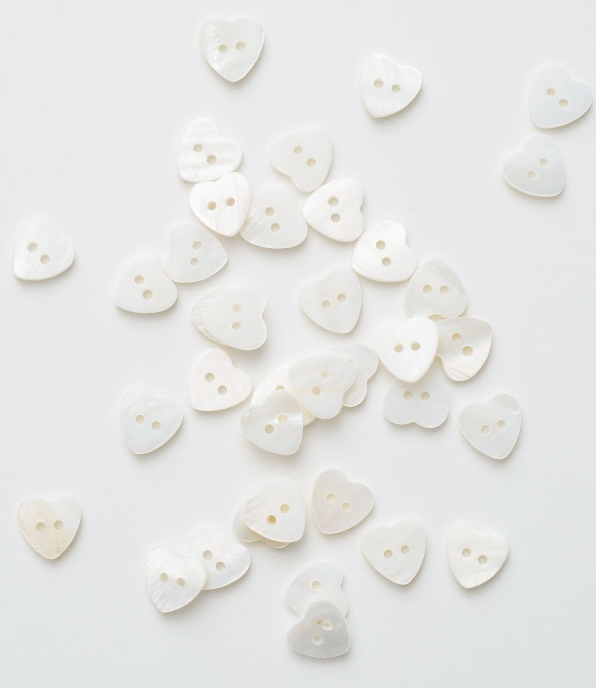 Button Shaped Shell 1/2