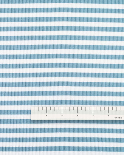 Light Blue Wide Stripe Rib Knit