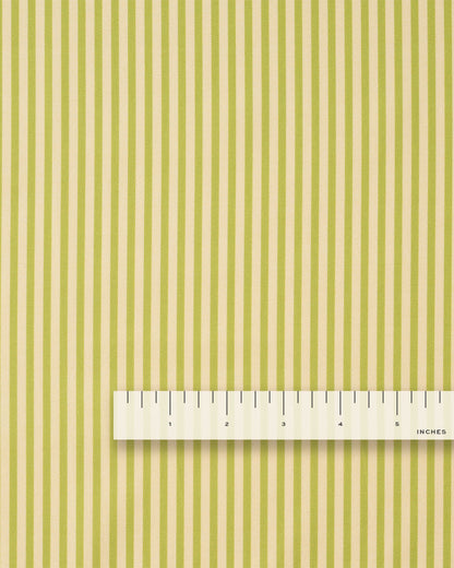 Lime Thin Stripe Smooth Cotton Poplin