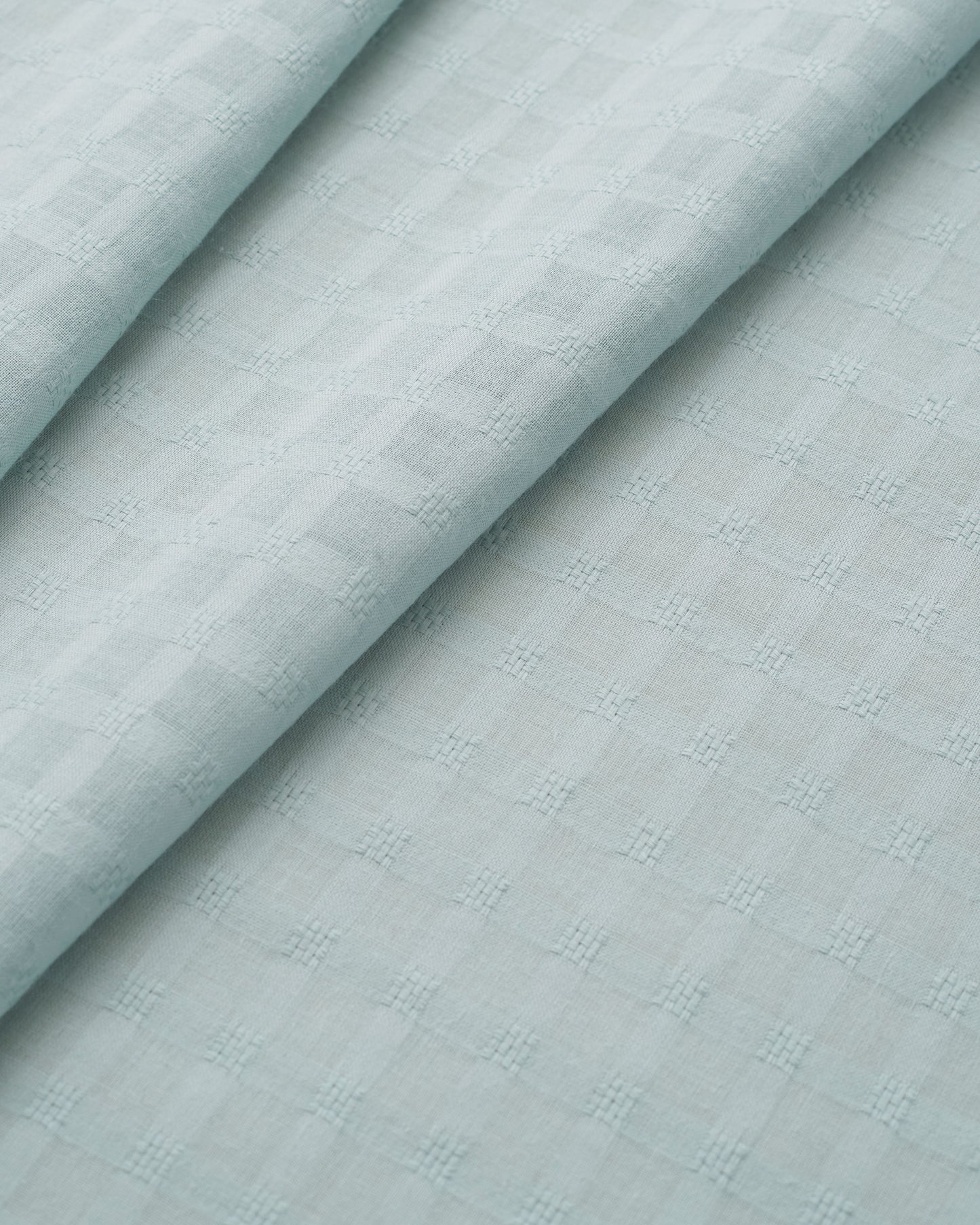 Robin's Egg Grid Check Dobby Cotton