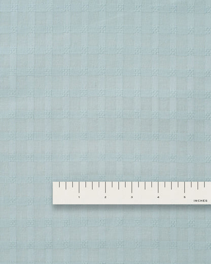 Robin's Egg Grid Check Dobby Cotton
