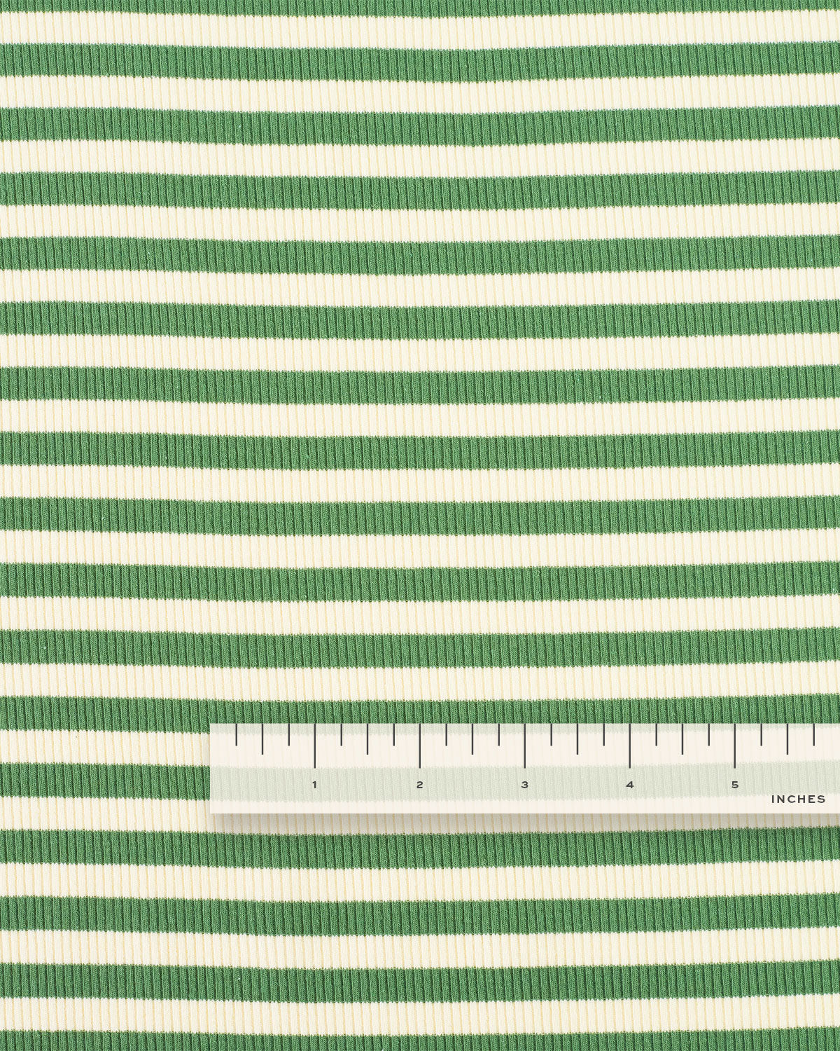 Green Wide Stripe Rib Knit