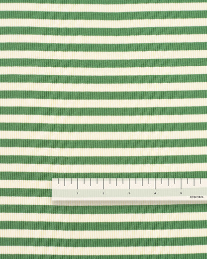 Green Wide Stripe Rib Knit