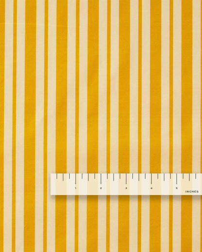 Sunshine Double Stripe Smooth Cotton Poplin