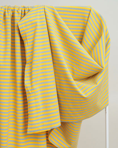 Yellow and Blue Wide Stripe Rib Knit